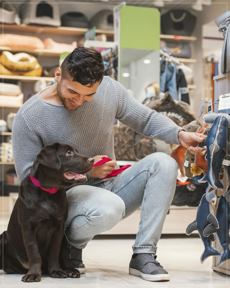 Pet shops no Tatuapé, São Paulo – O Melhor do Tatuapé